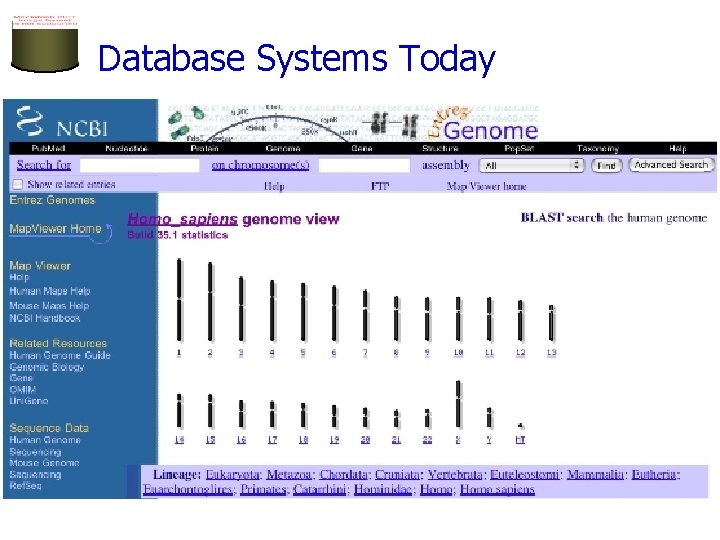 Database Systems Today 