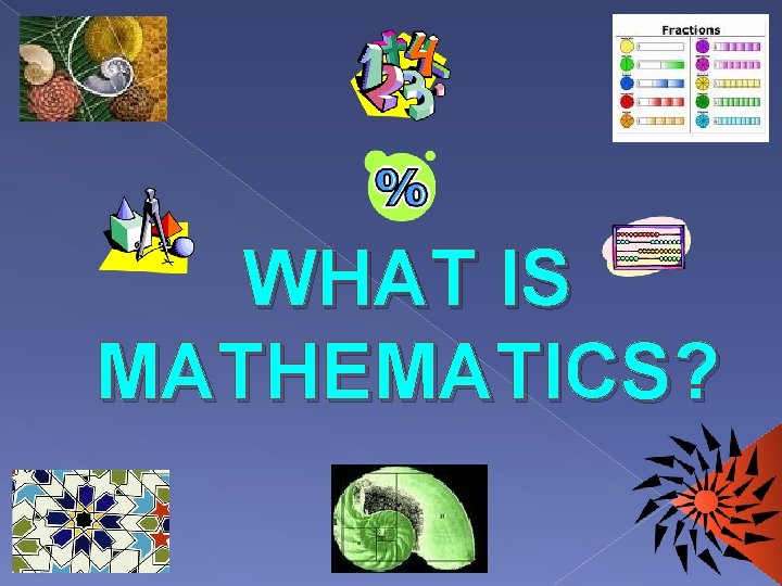 WHAT IS MATHEMATICS? 