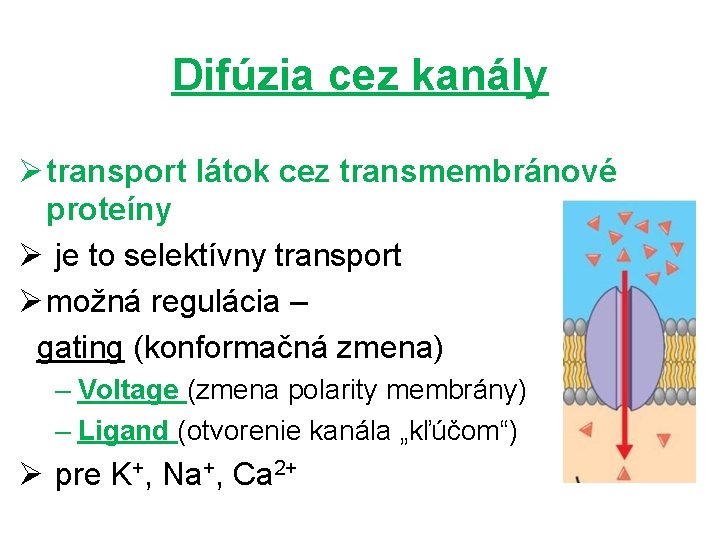 Difúzia cez kanály Ø transport látok cez transmembránové proteíny Ø je to selektívny transport