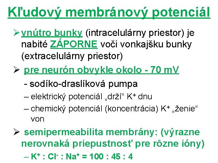 Kľudový membránový potenciál Ø vnútro bunky (intracelulárny priestor) je nabité ZÁPORNE voči vonkajšku bunky