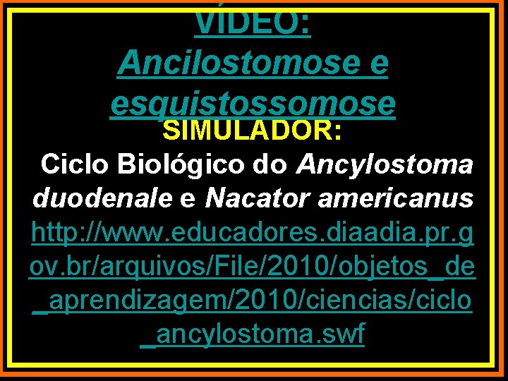 VÍDEO: Ancilostomose e esquistossomose SIMULADOR: Ciclo Biológico do Ancylostoma duodenale e Nacator americanus http:
