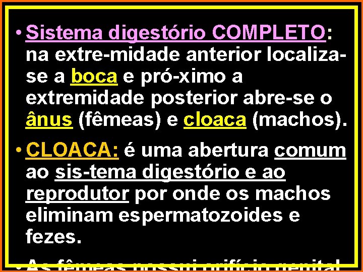  • Sistema digestório COMPLETO: na extre-midade anterior localizase a boca e pró-ximo a