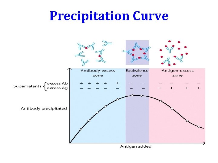 Precipitation Curve Precipitation Curve