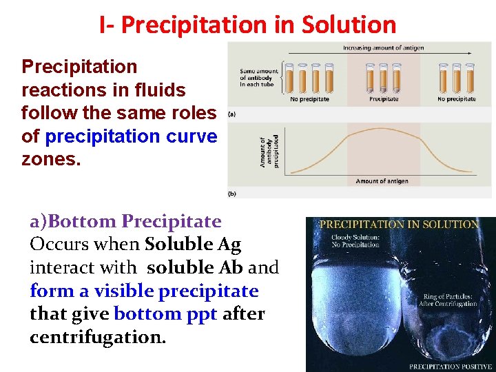 I- Precipitation in Solution Precipitation reactions in fluids follow the same roles of precipitation I- Precipitation in Solution Precipitation reactions in fluids follow the same roles of precipitation