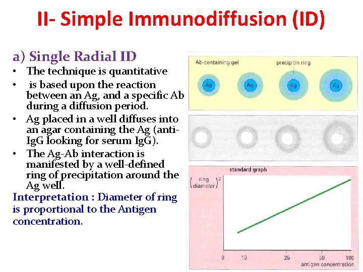 II- Simple Immunodiffusion (ID) a) Single Radial ID • The technique is quantitative • II- Simple Immunodiffusion (ID) a) Single Radial ID • The technique is quantitative •