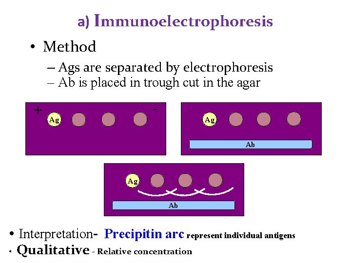 a) Immunoelectrophoresis • Method – Ags are separated by electrophoresis – Ab is placed a) Immunoelectrophoresis • Method – Ags are separated by electrophoresis – Ab is placed