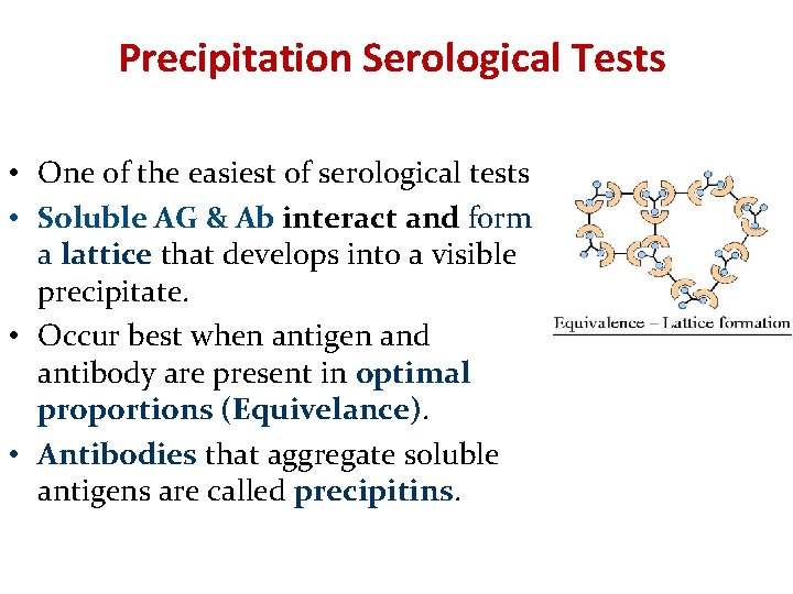 Precipitation Serological Tests • One of the easiest of serological tests • Soluble AG Precipitation Serological Tests • One of the easiest of serological tests • Soluble AG