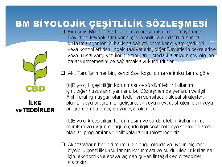 BM BİYOLOJİK ÇEŞİTLİLİK SÖZLEŞMESİ q Birleşmiş Milletler Şartı ve uluslararası hukuk ilkeleri uyarınca Devletler,