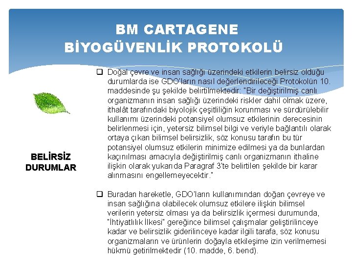 BM CARTAGENE BİYOGÜVENLİK PROTOKOLÜ BELİRSİZ DURUMLAR q Doğal çevre ve insan sağlığı üzerindeki etkilerin