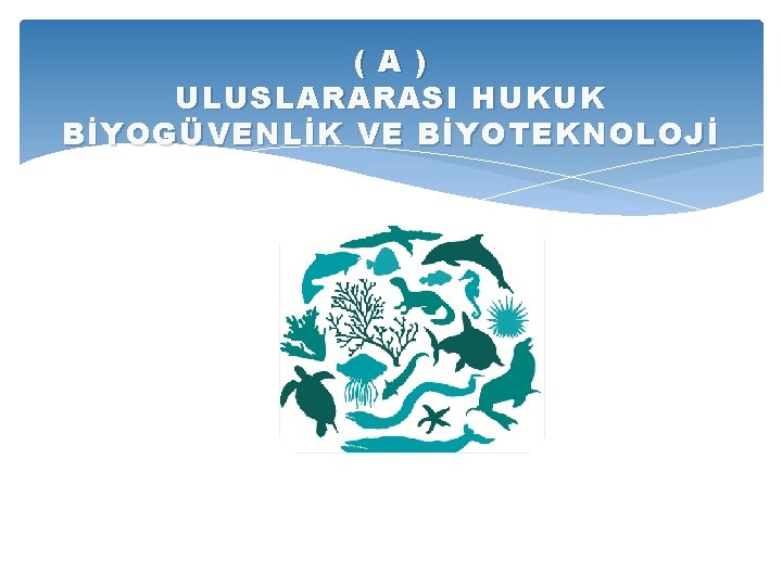 ( A ) ULUSLARARASI HUKUK BİYOGÜVENLİK VE BİYOTEKNOLOJİ 