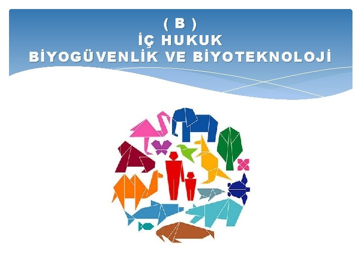 ( B ) İÇ HUKUK BİYOGÜVENLİK VE BİYOTEKNOLOJİ 