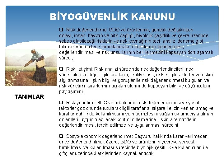 BİYOGÜVENLİK KANUNU q Risk değerlendirme: GDO ve ürünlerinin, genetik değişiklikten dolayı, insan, hayvan ve