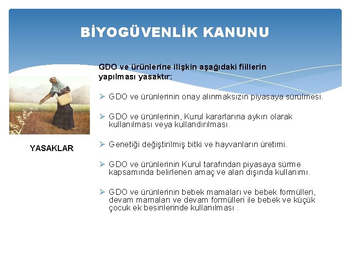 BİYOGÜVENLİK KANUNU GDO ve ürünlerine ilişkin aşağıdaki fiillerin yapılması yasaktır: Ø GDO ve ürünlerinin