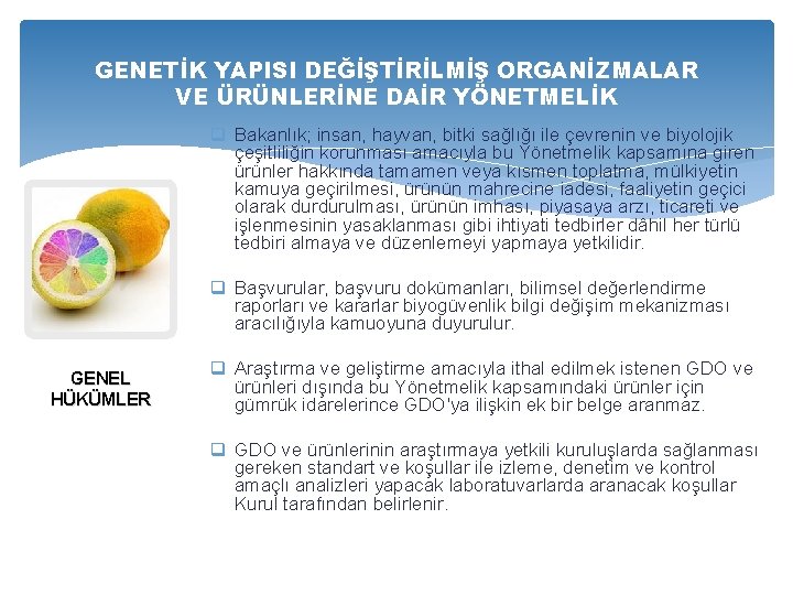 GENETİK YAPISI DEĞİŞTİRİLMİŞ ORGANİZMALAR VE ÜRÜNLERİNE DAİR YÖNETMELİK q Bakanlık; insan, hayvan, bitki sağlığı