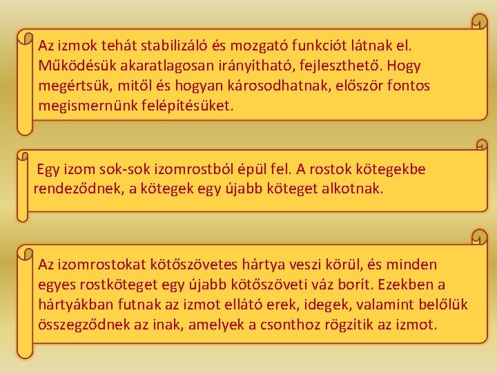 Az izmok tehát stabilizáló és mozgató funkciót látnak el. Működésük akaratlagosan irányítható, fejleszthető. Hogy