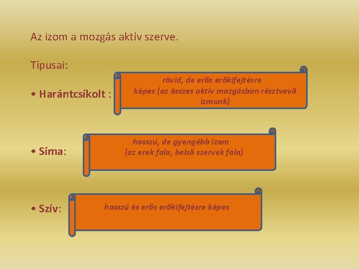 Az izom a mozgás aktív szerve. Típusai: • Harántcsíkolt : • Sima: • Szív: Az izom a mozgás aktív szerve. Típusai: • Harántcsíkolt : • Sima: • Szív: