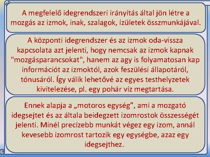 A megfelelő idegrendszeri irányítás által jön létre a mozgás az izmok, inak, szalagok, ízületek