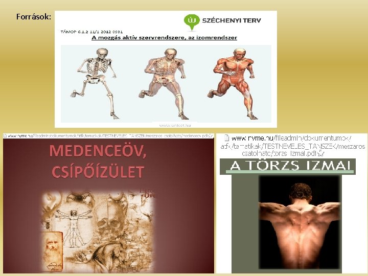 Források: Források:
