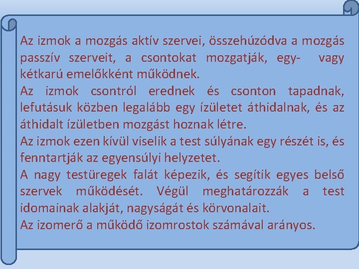 Az izmok a mozgás aktív szervei, összehúzódva a mozgás passzív szerveit, a csontokat mozgatják,