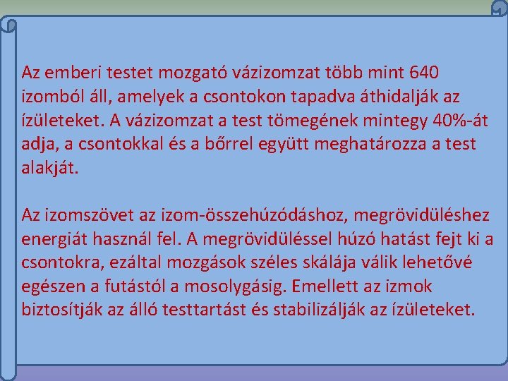 Az emberi testet mozgató vázizomzat több mint 640 izomból áll, amelyek a csontokon tapadva Az emberi testet mozgató vázizomzat több mint 640 izomból áll, amelyek a csontokon tapadva
