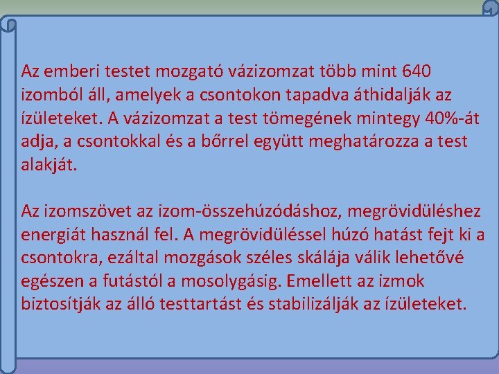 Az emberi testet mozgató vázizomzat több mint 640 izomból áll, amelyek a csontokon tapadva