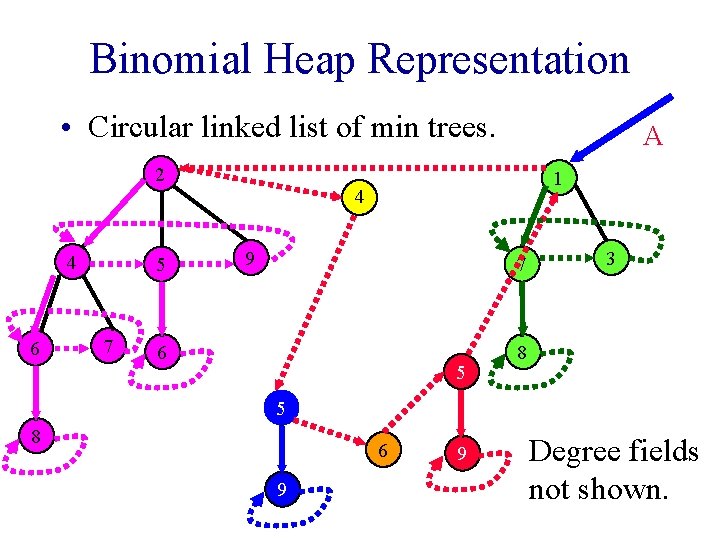 Binomial Heap Representation • Circular linked list of min trees. 2 4 6 5