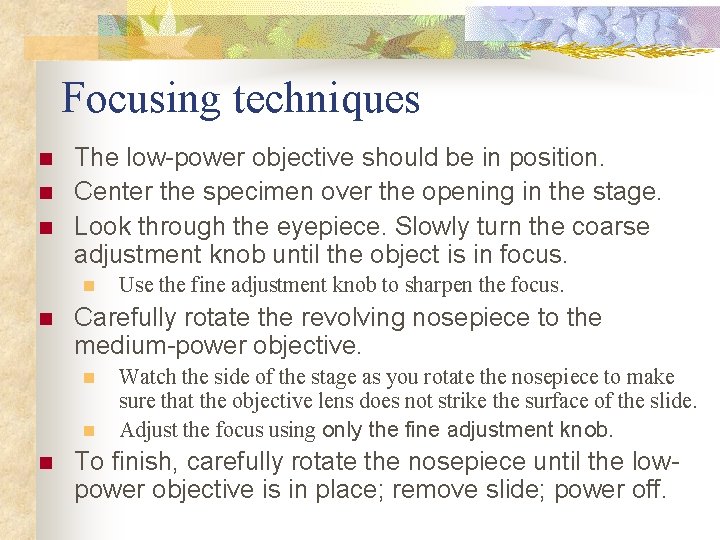 Focusing techniques n n n The low-power objective should be in position. Center the