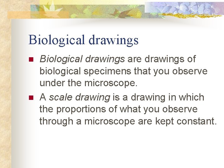 Biological drawings n n Biological drawings are drawings of biological specimens that you observe