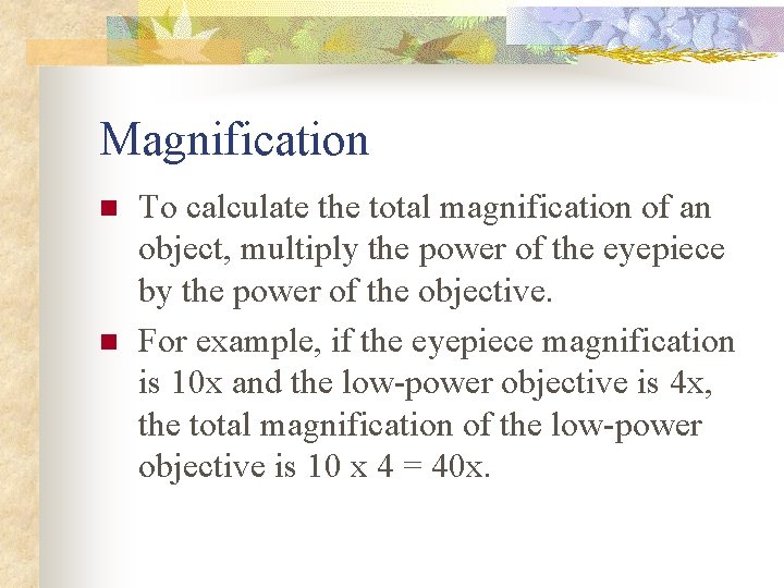 Magnification n n To calculate the total magnification of an object, multiply the power