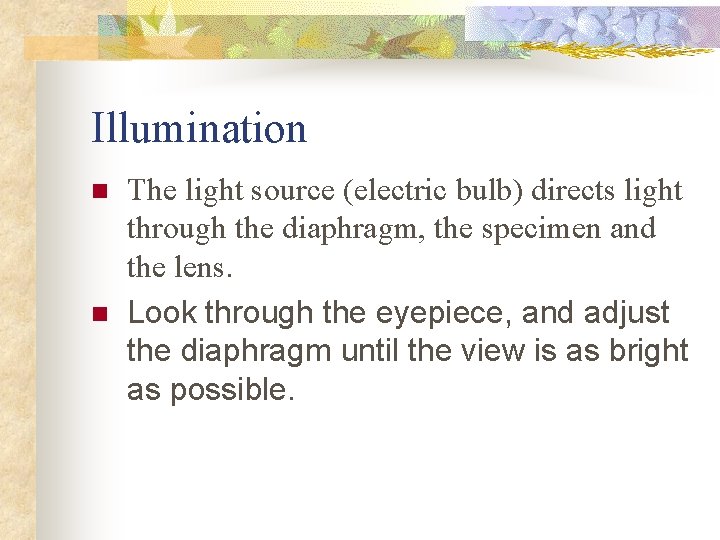 Illumination n n The light source (electric bulb) directs light through the diaphragm, the