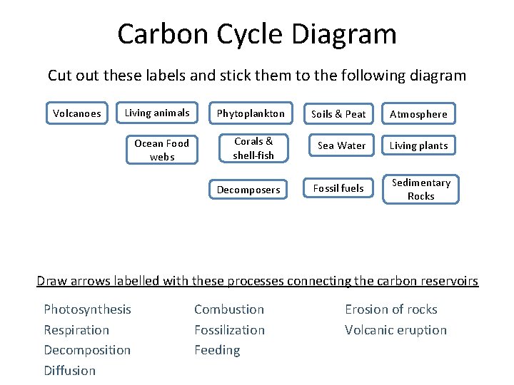 Carbon Cycle Diagram Cut out these labels and stick them to the following diagram