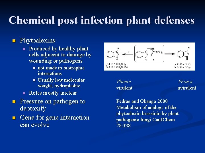 Chemical post infection plant defenses n Phytoalexins n Produced by healthy plant cells adjacent