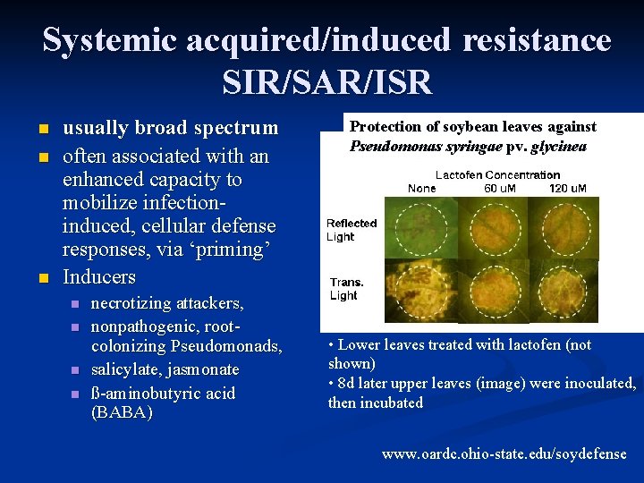 Systemic acquired/induced resistance SIR/SAR/ISR n n n usually broad spectrum often associated with an
