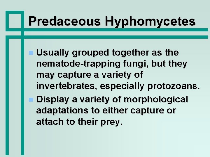 Predaceous Hyphomycetes Usually grouped together as the nematode-trapping fungi, but they may capture a