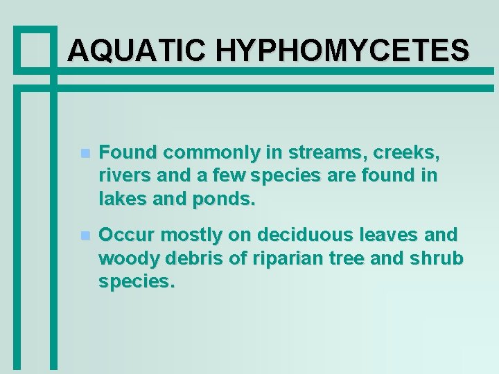 AQUATIC HYPHOMYCETES Found commonly in streams, creeks, rivers and a few species are found