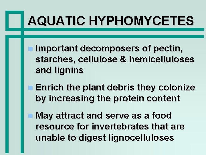 AQUATIC HYPHOMYCETES Important decomposers of pectin, starches, cellulose & hemicelluloses and lignins Enrich the