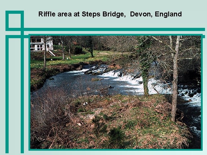 Riffle area at Steps Bridge, Devon, England 