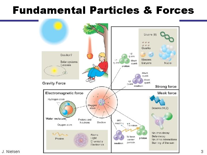 Fundamental Particles & Forces J. Nielsen 3 