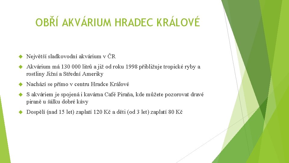 OBŘÍ AKVÁRIUM HRADEC KRÁLOVÉ Největší sladkovodní akvárium v ČR Akvárium má 130 000 litrů