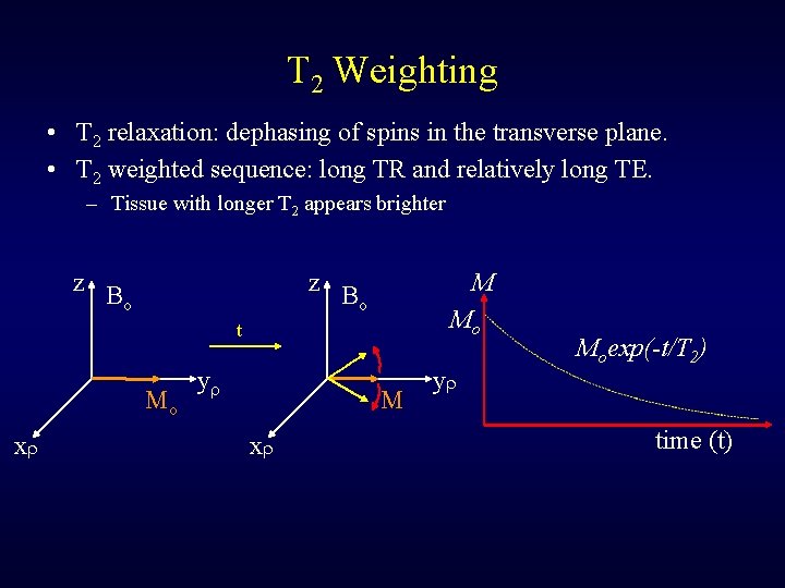 T 2 Weighting • T 2 relaxation: dephasing of spins in the transverse plane.