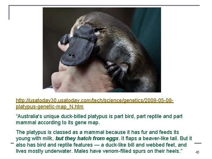 http: //usatoday 30. usatoday. com/tech/science/genetics/2008 -05 -08 platypus-genetic-map_N. htm “Australia's unique duck-billed platypus is