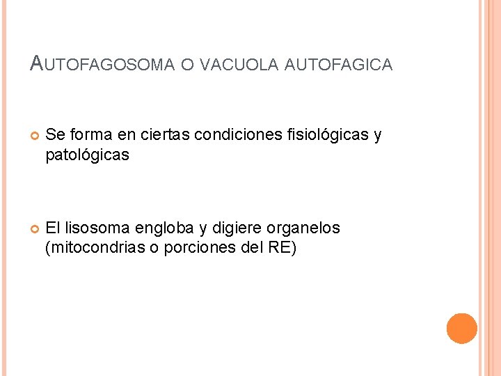 AUTOFAGOSOMA O VACUOLA AUTOFAGICA Se forma en ciertas condiciones fisiológicas y patológicas El lisosoma