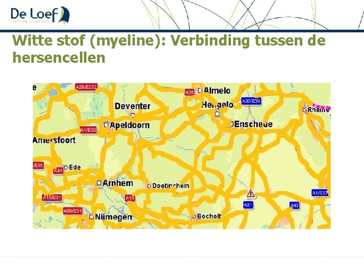 Witte stof (myeline): Verbinding tussen de hersencellen 