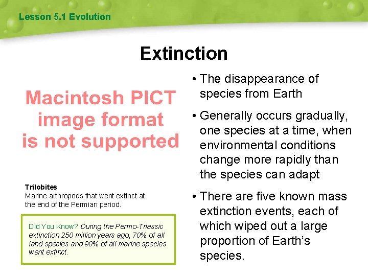 Lesson 5. 1 Evolution Extinction • The disappearance of species from Earth • Generally