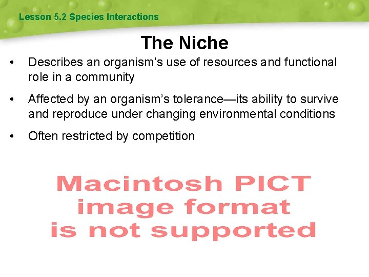 Lesson 5. 2 Species Interactions The Niche • Describes an organism’s use of resources