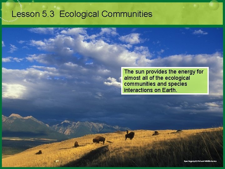 Lesson 5. 3 Ecological Communities The sun provides the energy for almost all of