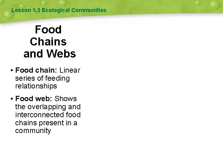 Lesson 5. 3 Ecological Communities Food Chains and Webs • Food chain: Linear series Lesson 5. 3 Ecological Communities Food Chains and Webs • Food chain: Linear series