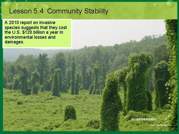 Lesson 5. 4 Community Stability A 2010 report on invasive species suggests that they Lesson 5. 4 Community Stability A 2010 report on invasive species suggests that they