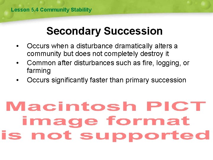 Lesson 5. 4 Community Stability Secondary Succession • • • Occurs when a disturbance