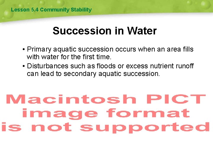 Lesson 5. 4 Community Stability Succession in Water • Primary aquatic succession occurs when